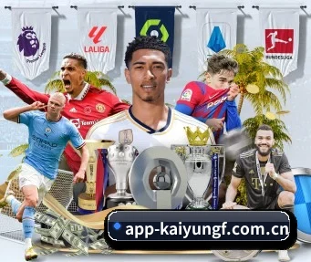 开云官方 APP